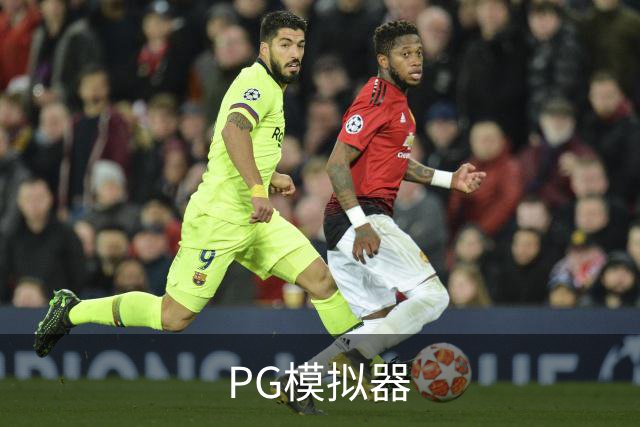 PG模拟器公司简介图片